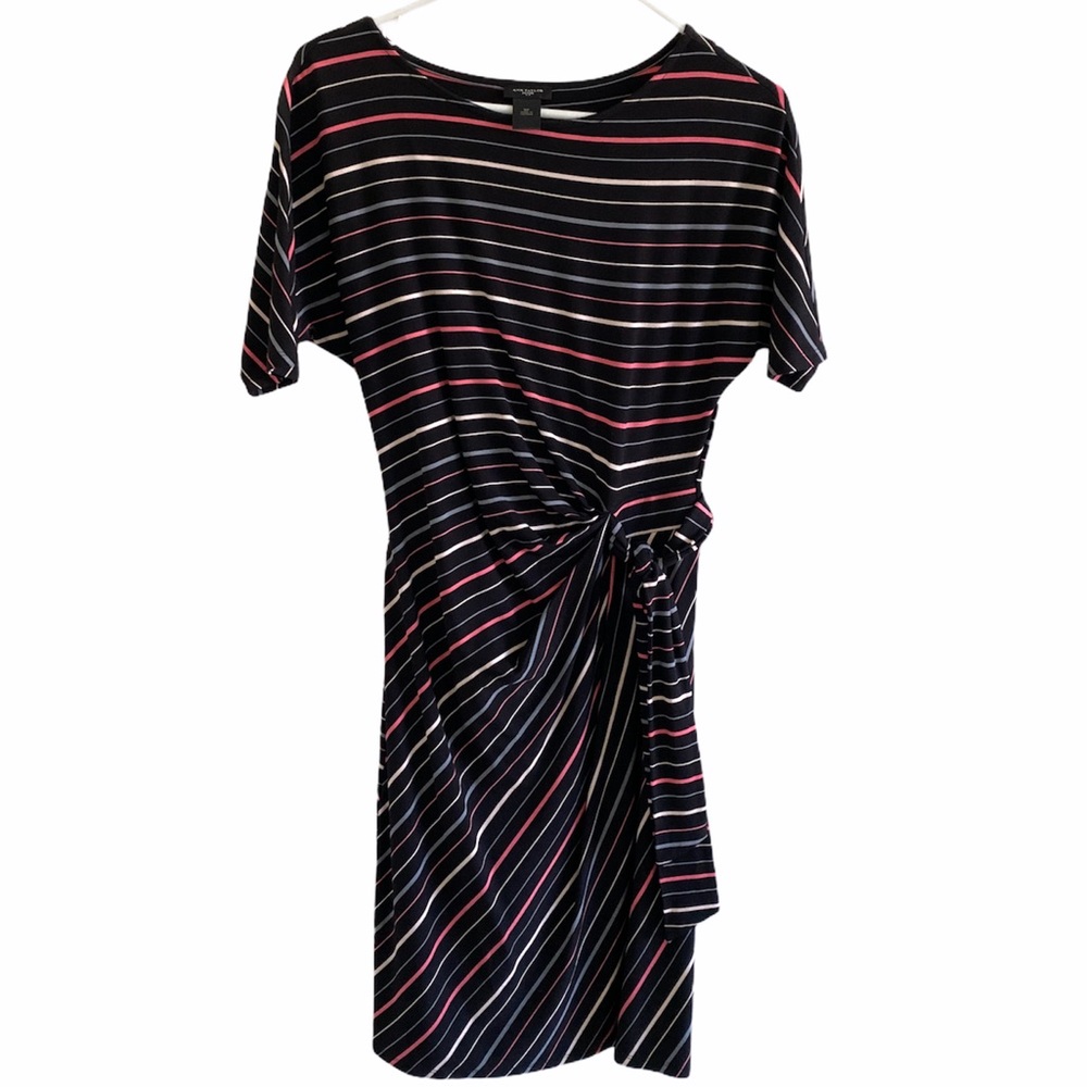 Ann Taylor Striped Dress